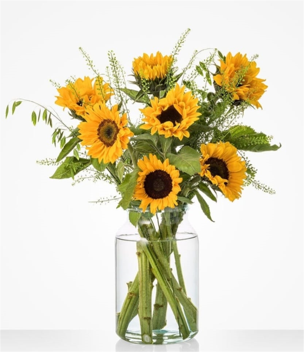 Zonnebloem